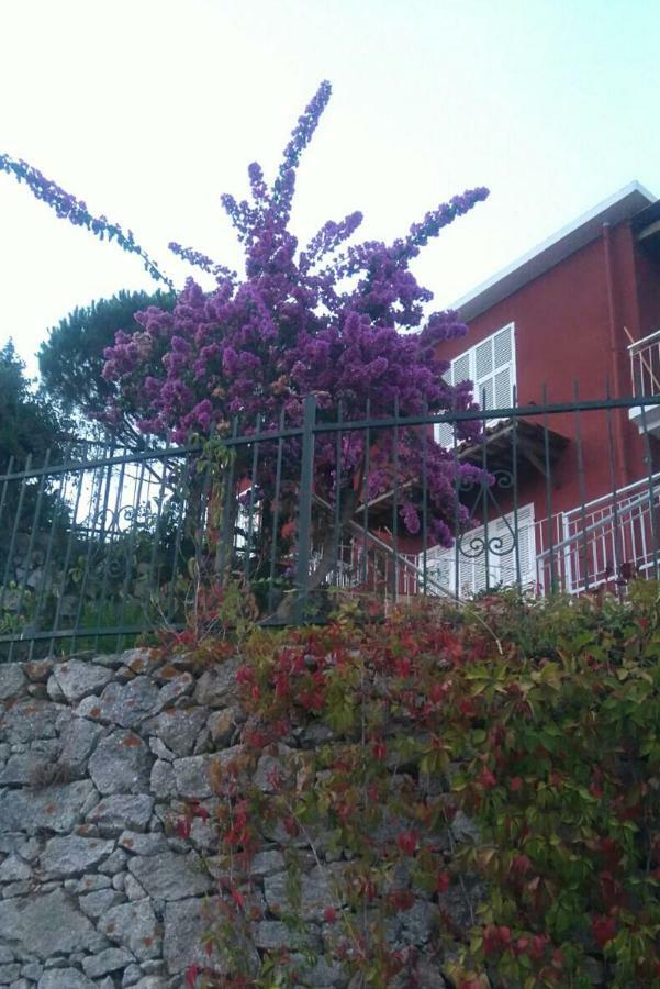 Colpi Di Timone B&B 菲纳莱利古雷 外观 照片